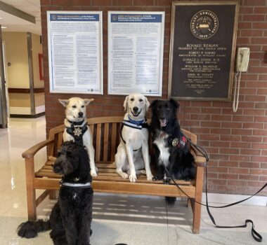 Ghost Trining Day #1